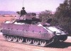 BRADLEY-3.JPG