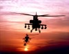 ah6402.jpg